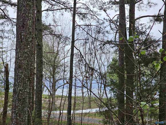 1.1 Acres of Residential Land for Sale in Section, Alabama