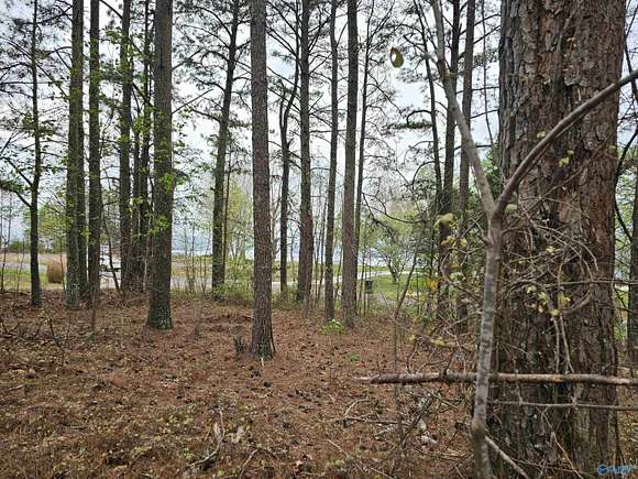 1.12 Acres of Residential Land for Sale in Section, Alabama