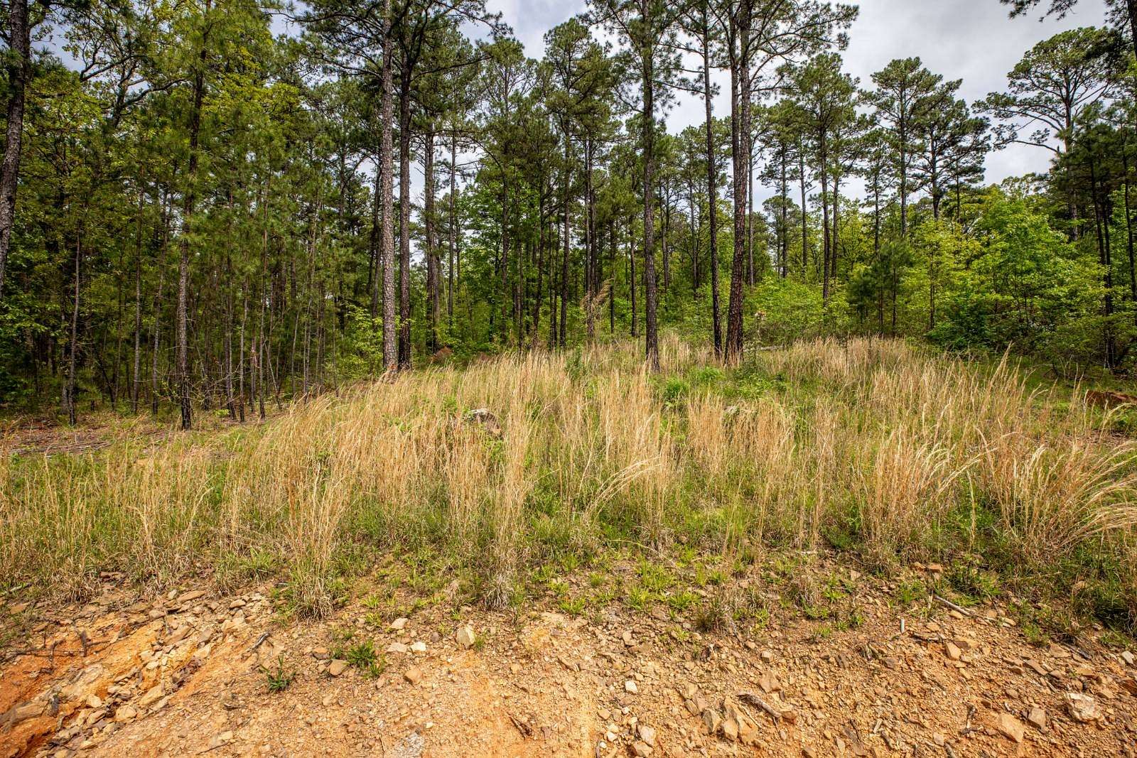 6.1 Acres of Land for Sale in Tuskahoma, Oklahoma