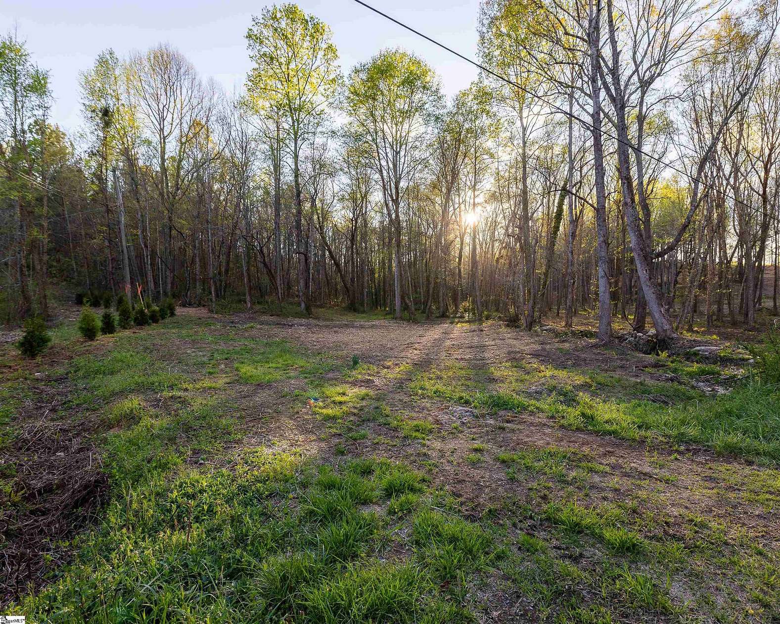 13 Acres of Land for Sale in Greer, South Carolina