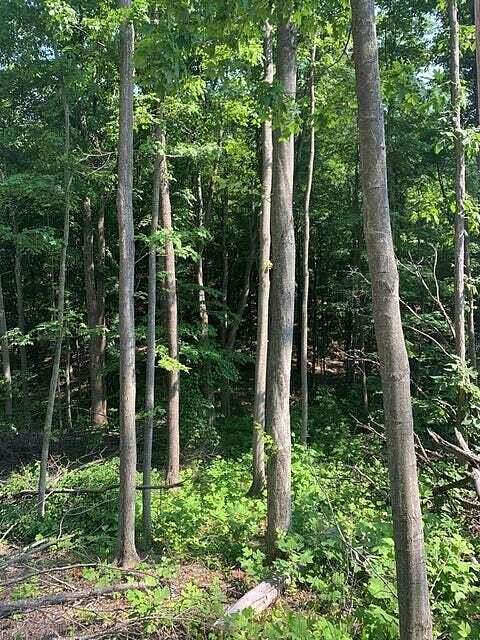 67 Acres of Recreational Land & Farm for Sale in Morehead, Kentucky