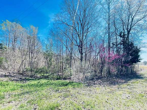 78 Acres of Recreational Land & Farm for Sale in Huntingdon, Tennessee