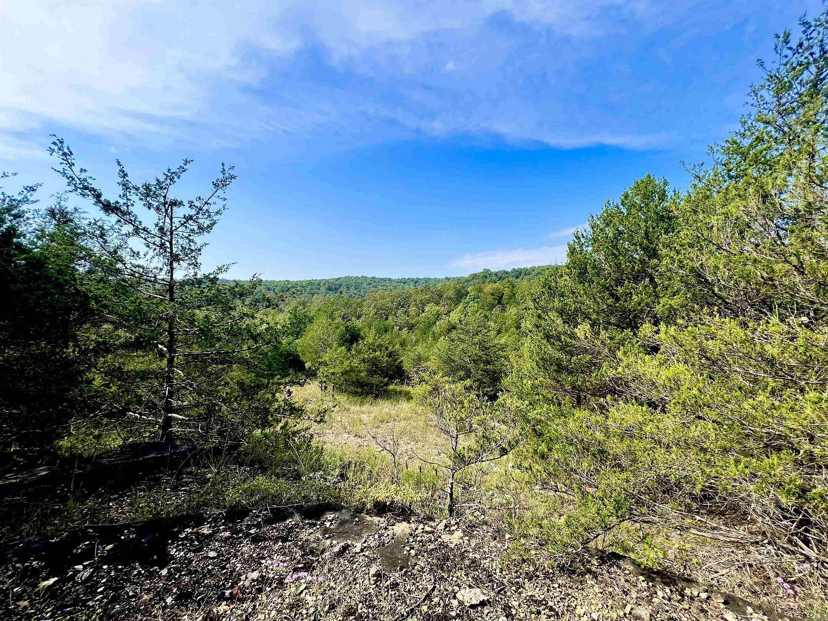 54.7 Acres of Recreational Land for Sale in Mountain Home, Arkansas
