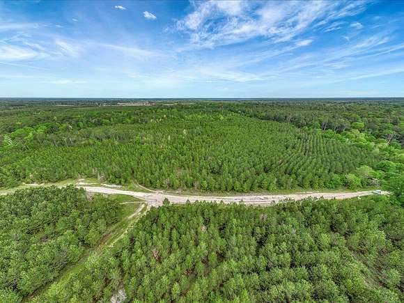 16 Acres of Land for Sale in Diboll, Texas