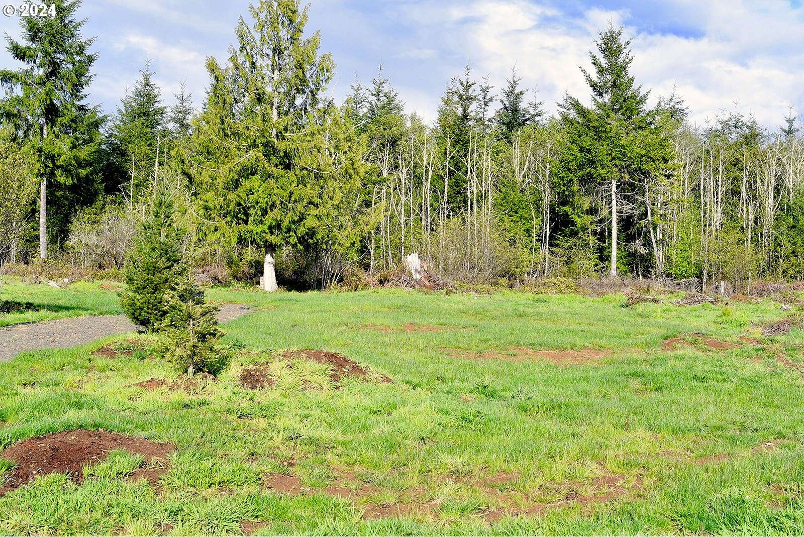 6 Acres of Land for Sale in Chehalis, Washington