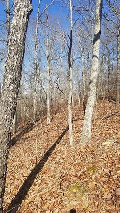 0.58 Acres of Residential Land for Sale in Holladay, Tennessee