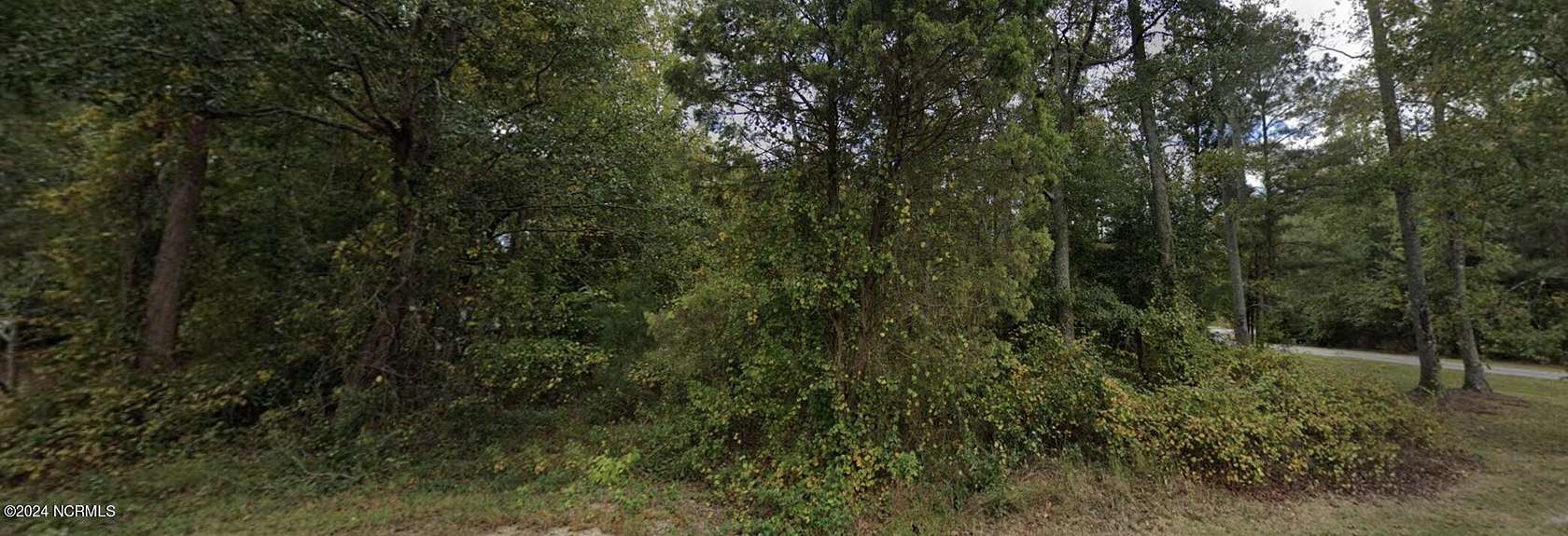 0.55 Acres of Land for Sale in Pikeville, North Carolina