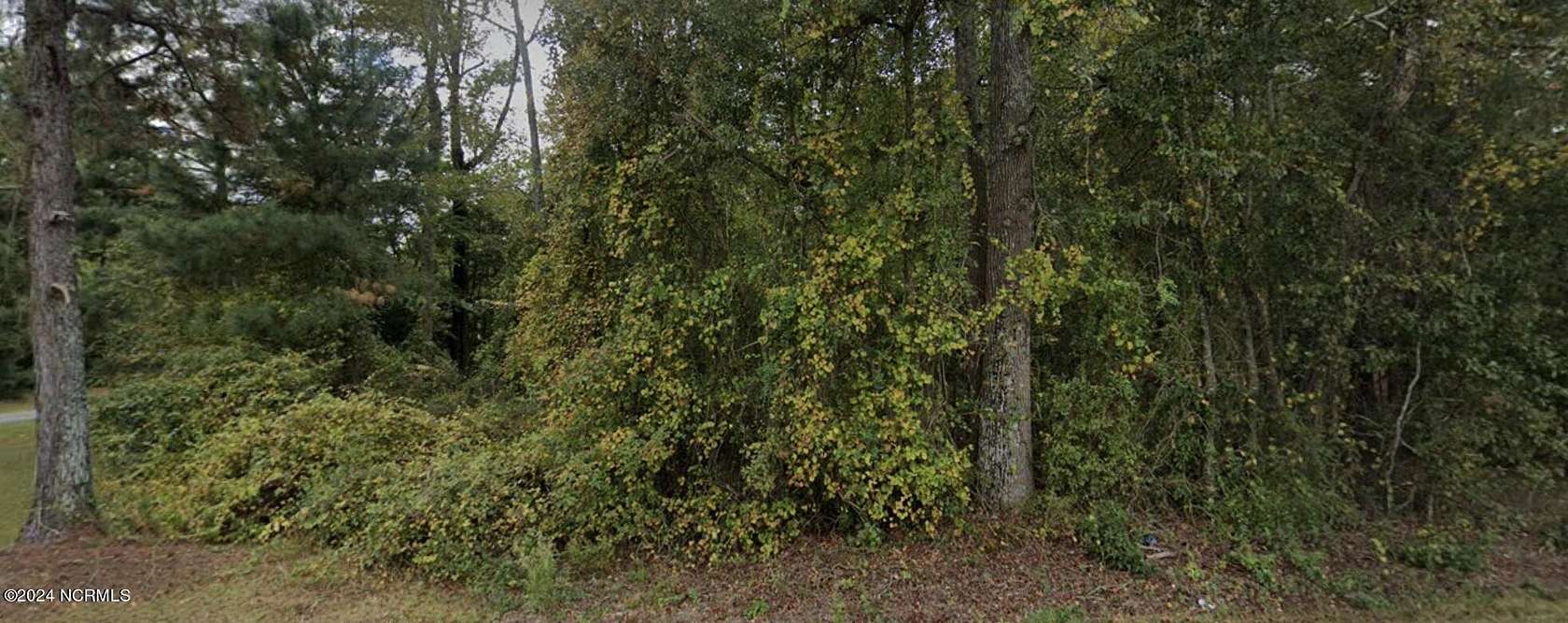 0.62 Acres of Land for Sale in Pikeville, North Carolina