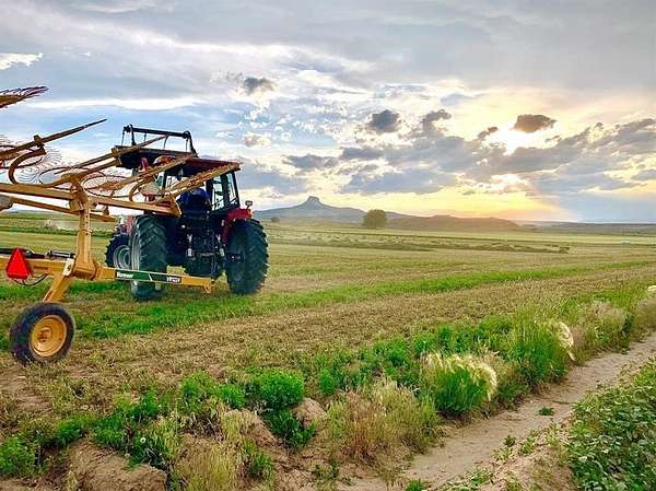 130 Acres of Recreational Land for Sale in Cody, Wyoming