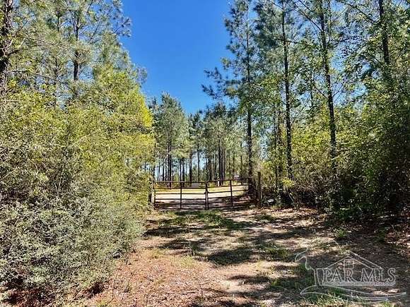 5.26 Acres of Residential Land for Sale in Pace, Florida