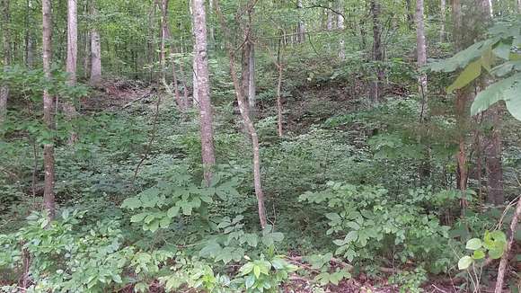 0.49 Acres of Residential Land for Sale in Holladay, Tennessee