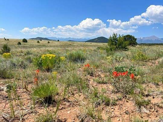 35.2 Acres of Recreational Land for Sale in Cotopaxi, Colorado