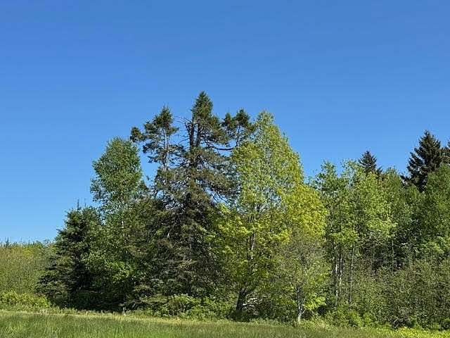 14.7 Acres of Commercial Land for Sale in Eastport, Maine