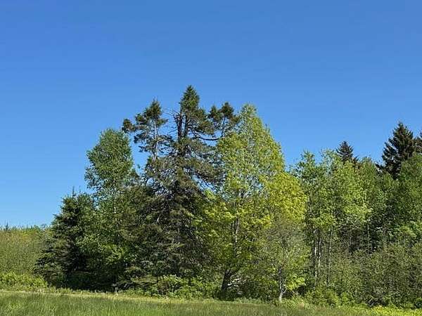 14.7 Acres of Commercial Land for Sale in Eastport, Maine