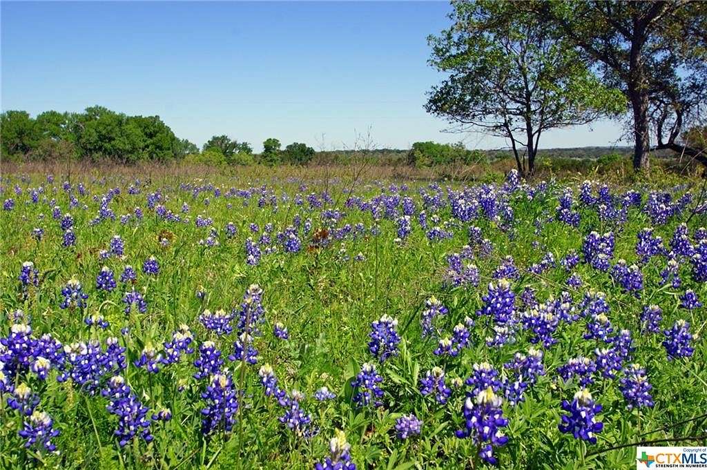 19.4 Acres of Agricultural Land for Sale in Briggs, Texas