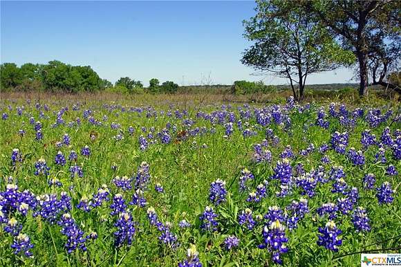 19.4 Acres of Agricultural Land for Sale in Briggs, Texas