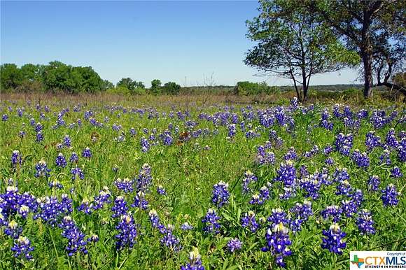 19.38 Acres of Agricultural Land for Sale in Briggs, Texas