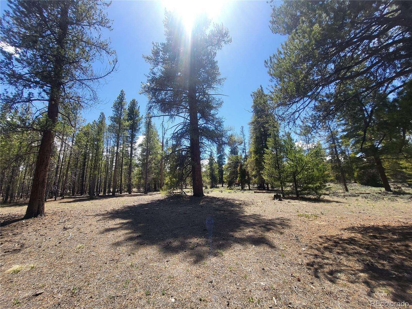 0.3 Acres of Residential Land for Sale in Twin Lakes, Colorado