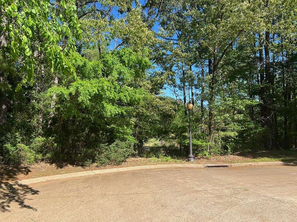 0.6 Acres of Land for Sale in Palestine, Texas