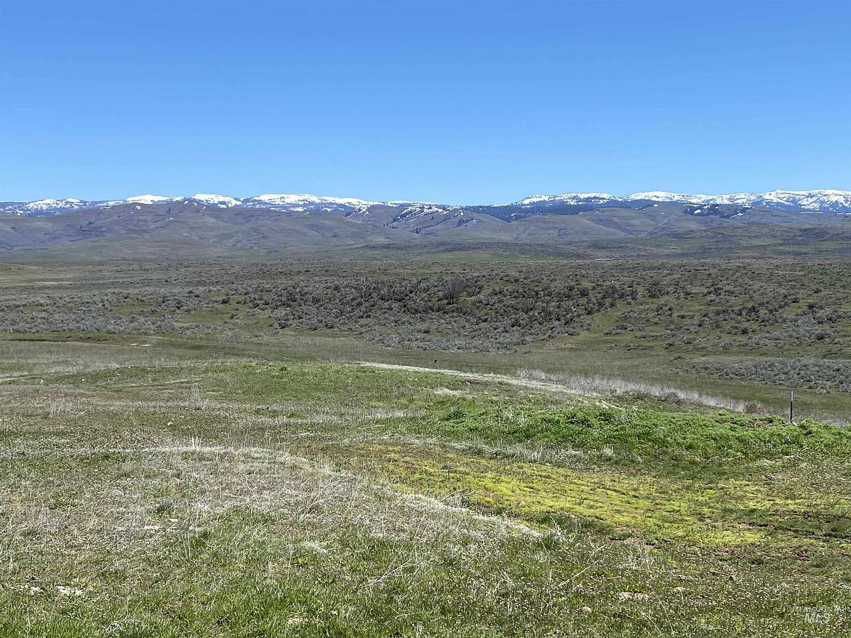 7 Acres of Residential Land for Sale in Indian Valley, Idaho