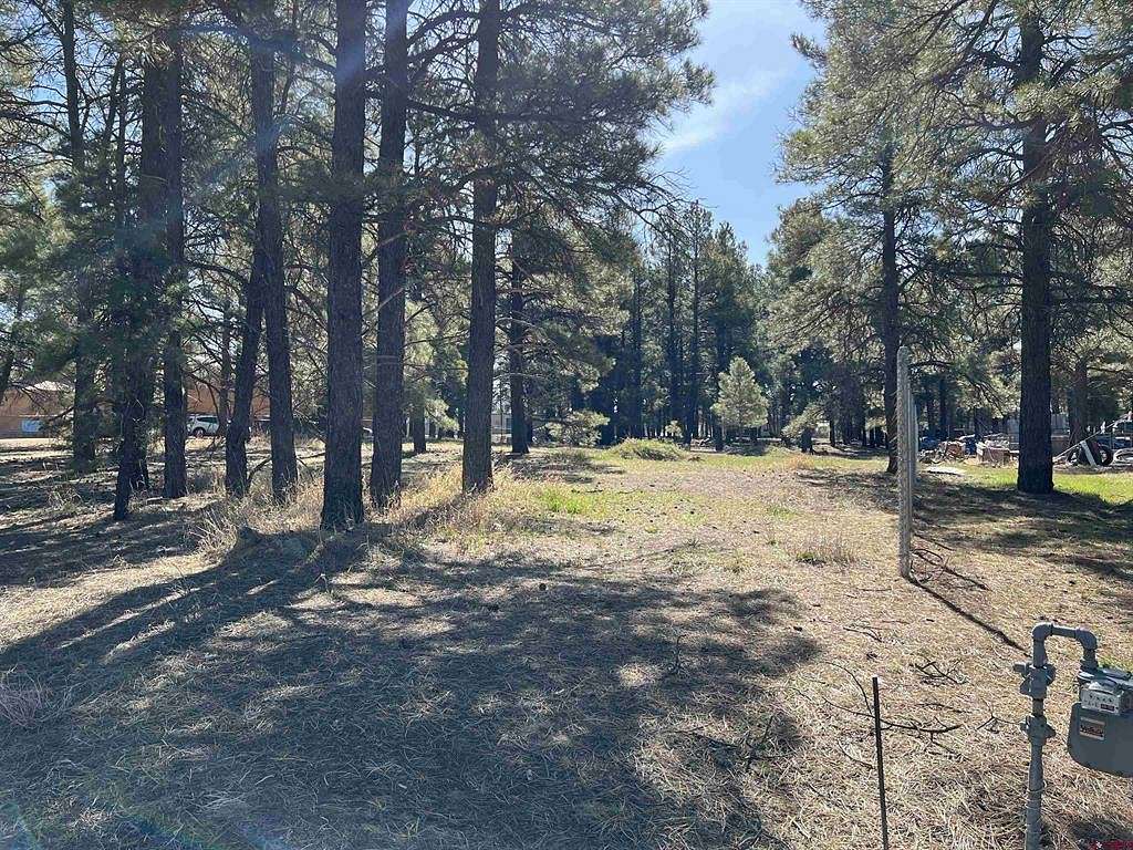 0.85 Acres of Commercial Land for Sale in Pagosa Springs, Colorado