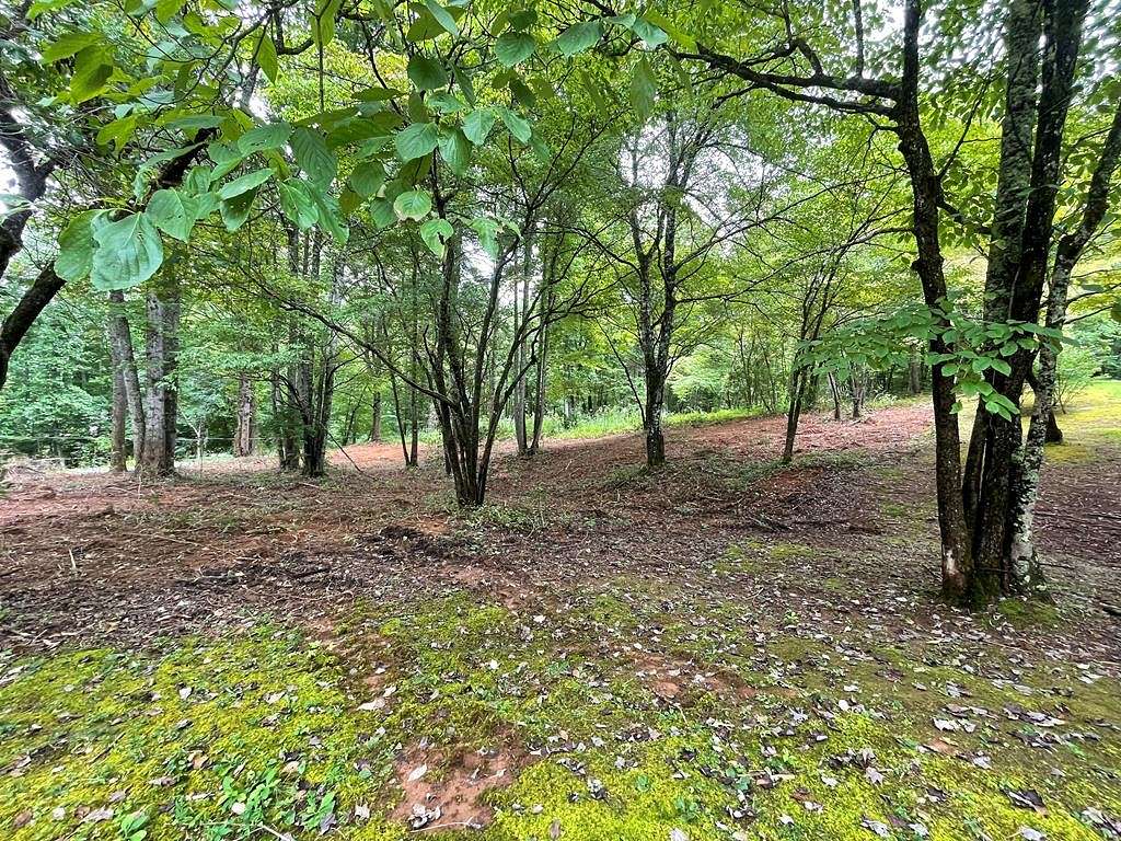 0.73 Acres of Land for Sale in Robbinsville, North Carolina
