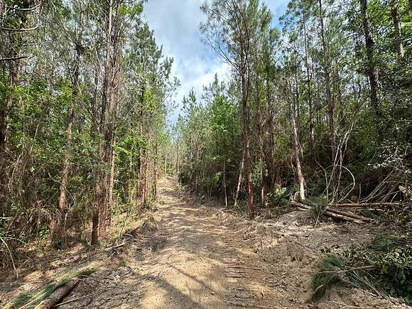 34 Acres of Recreational Land for Sale in New Hebron, Mississippi