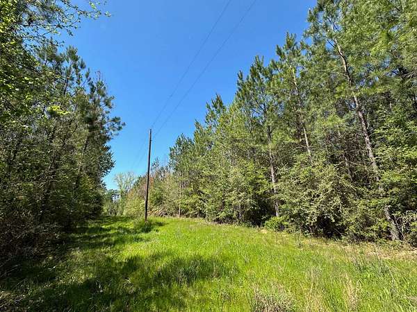 33 Acres of Recreational Land for Sale in New Hebron, Mississippi