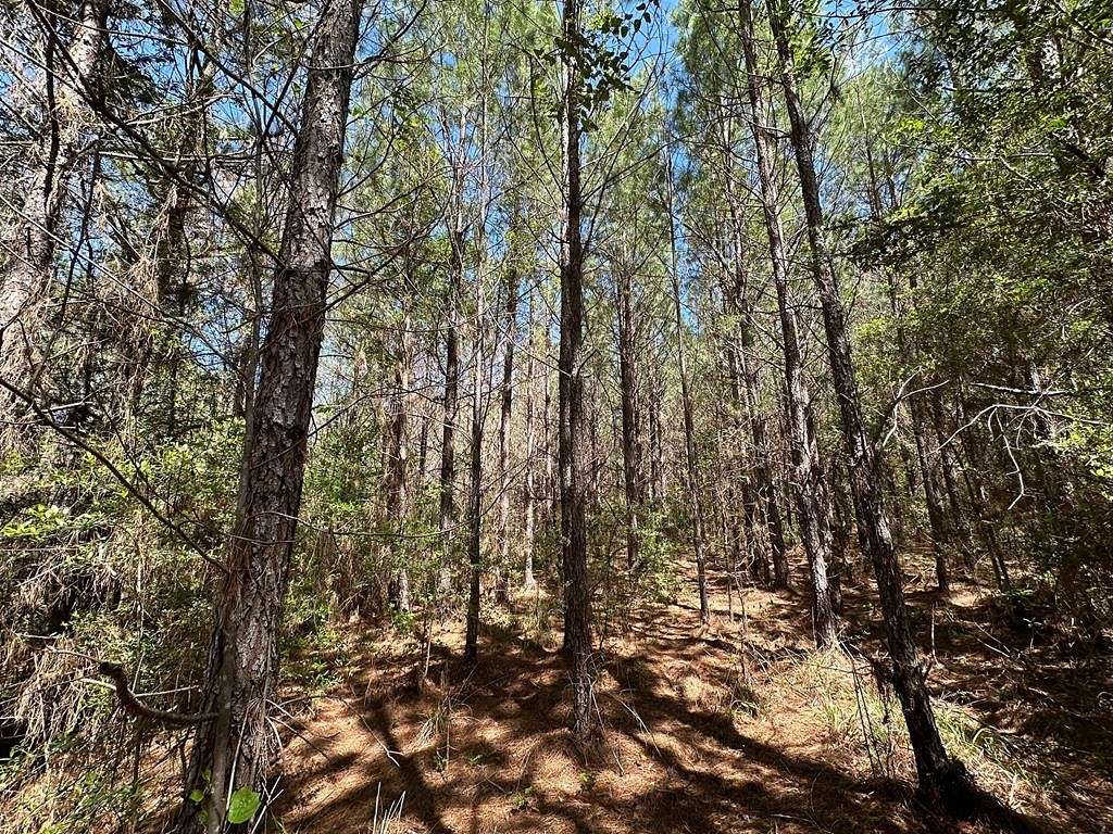 12 Acres of Land for Sale in New Hebron, Mississippi