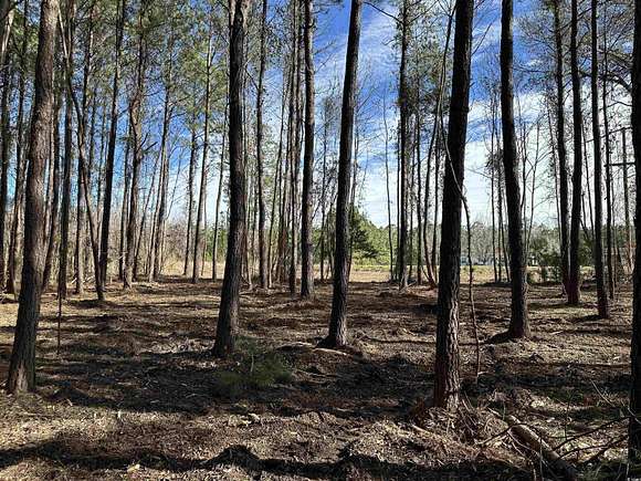 1 Acre of Residential Land for Sale in Andrews, South Carolina