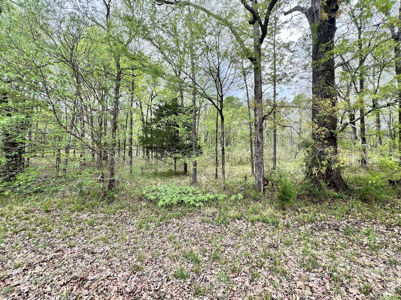 Residential Land for Sale in Starkville, Mississippi