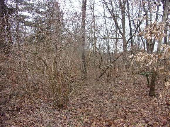 0.5 Acres of Residential Land for Sale in Shippenville, Pennsylvania
