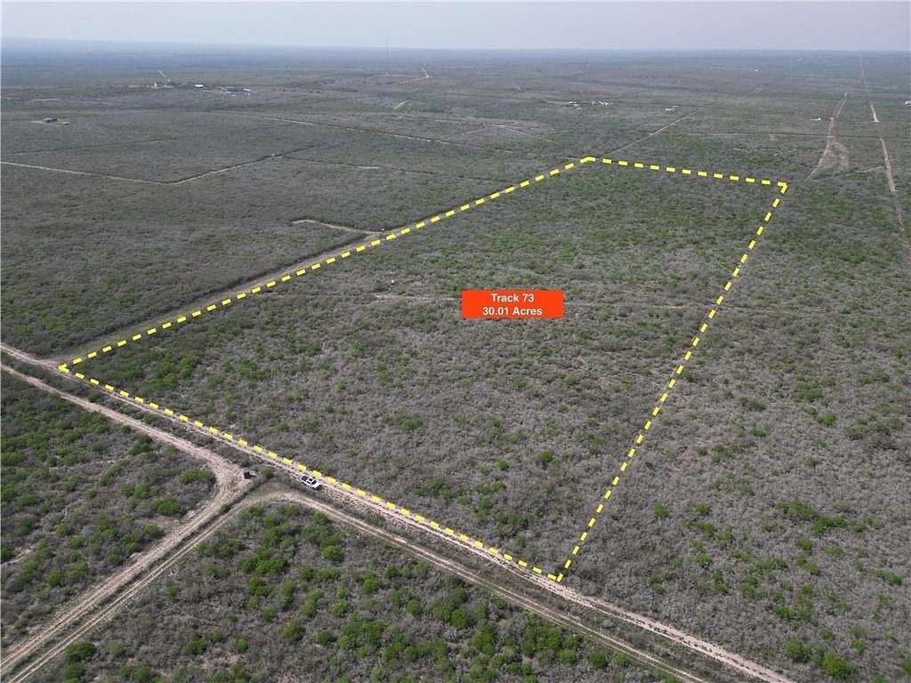 Land for Sale in Benavides, Texas