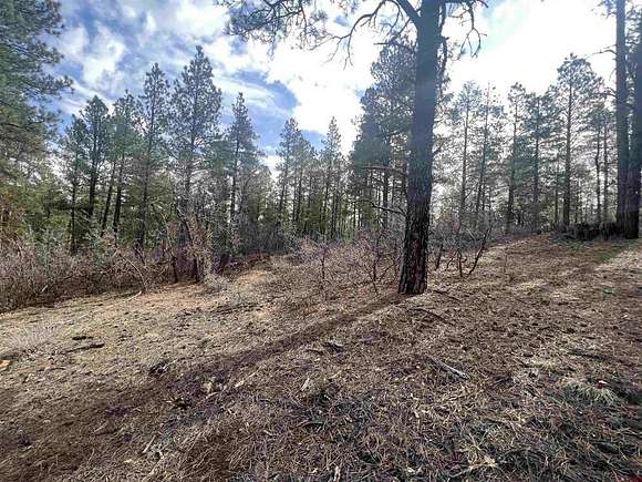 2.7 Acres of Residential Land for Sale in Pagosa Springs, Colorado