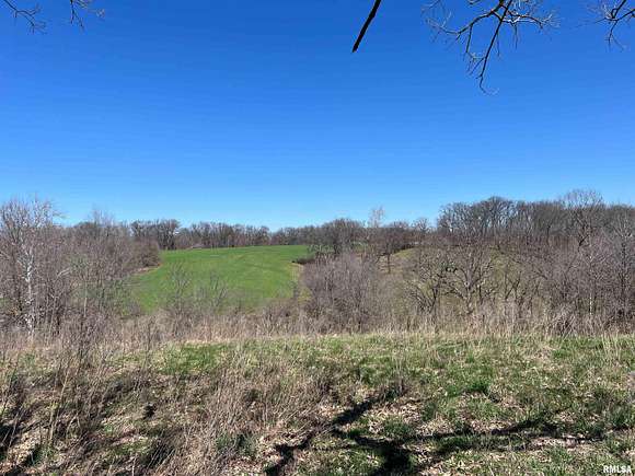 35 Acres of Land for Sale in Pleasant Hill, Illinois
