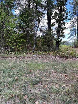 1 Acres of Land for Sale in Carthage, Arkansas