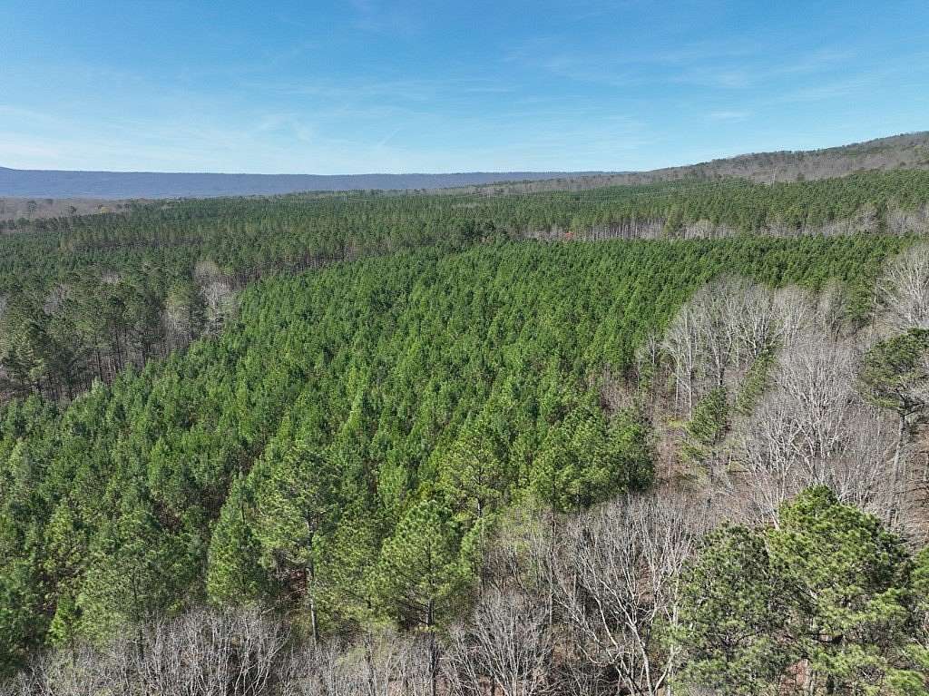 327 Acres of Recreational Land for Sale in Resaca, Georgia