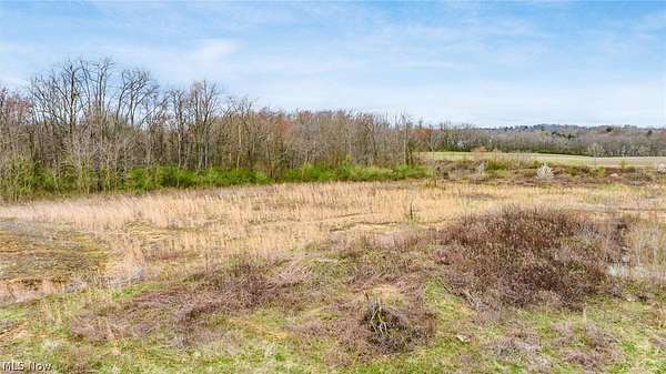 9.5 Acres of Residential Land for Sale in Zanesville, Ohio