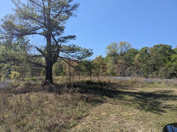 64.6 Acres of Land for Sale in Blythe, Georgia