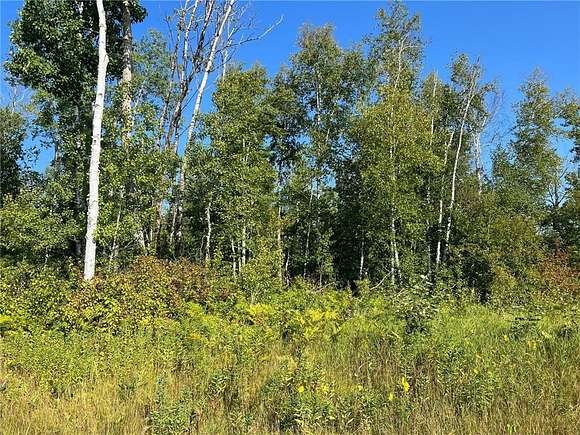 15.3 Acres of Recreational Land for Sale in Remer, Minnesota
