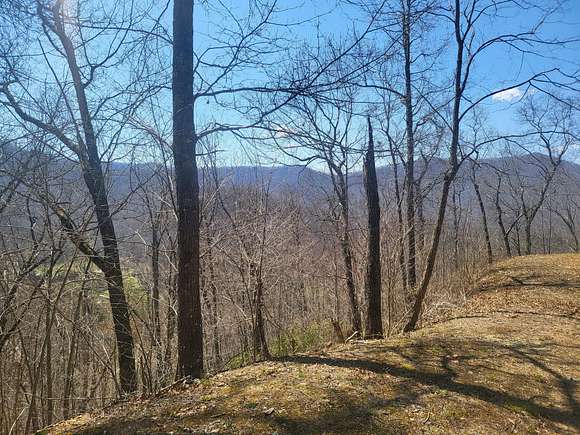 2.3 Acres of Residential Land for Sale in Robbinsville, North Carolina