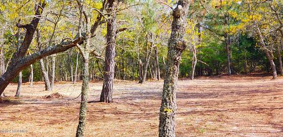 0.43 Acres of Residential Land for Sale in Supply, North Carolina