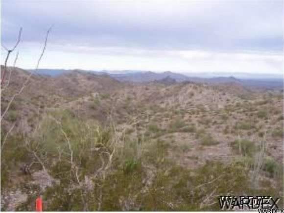 20 Acres of Agricultural Land for Sale in Lake Havasu City, Arizona