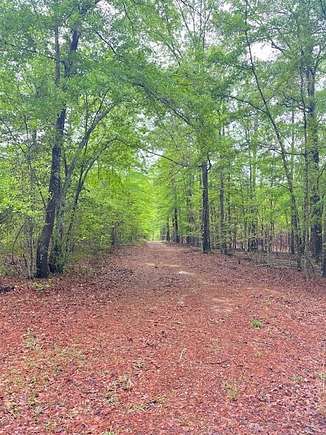 16.5 Acres of Land for Sale in Eastover, South Carolina