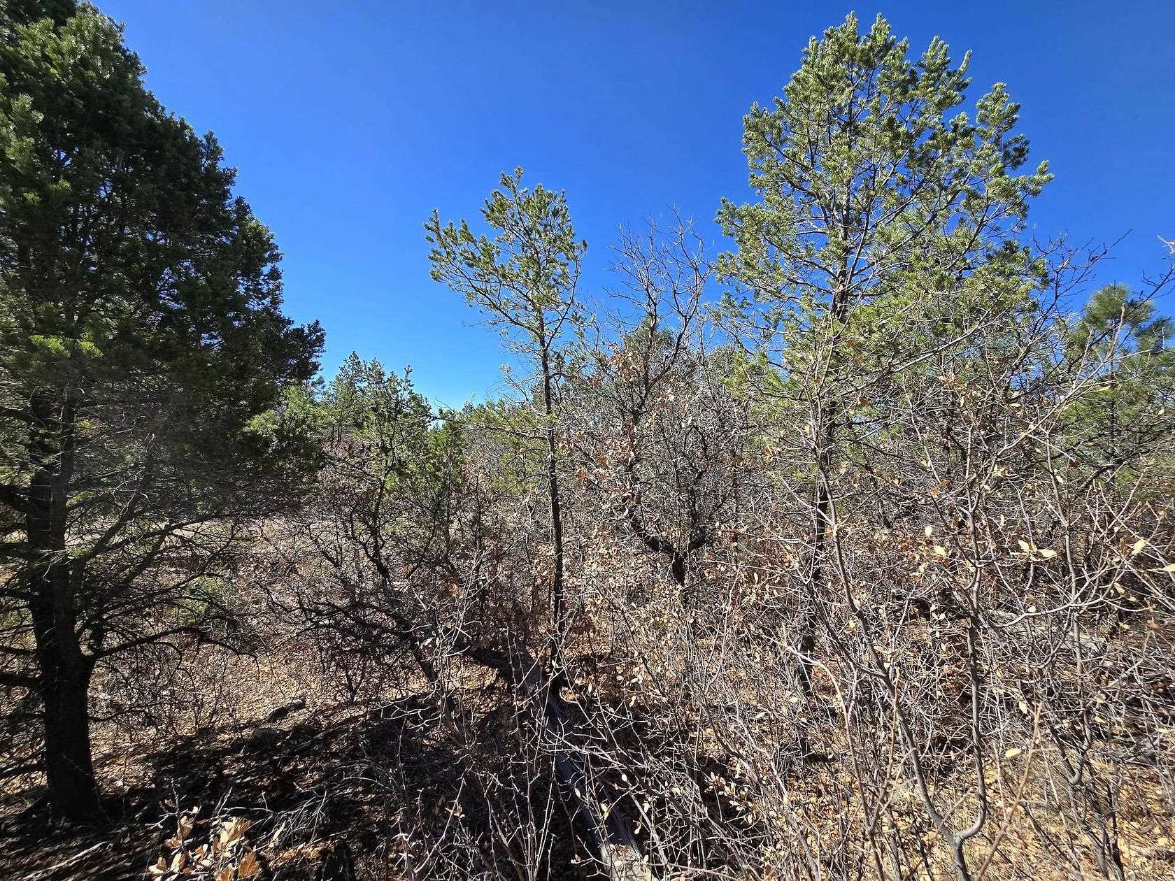 0.3 Acres of Residential Land for Sale in Timberon, New Mexico