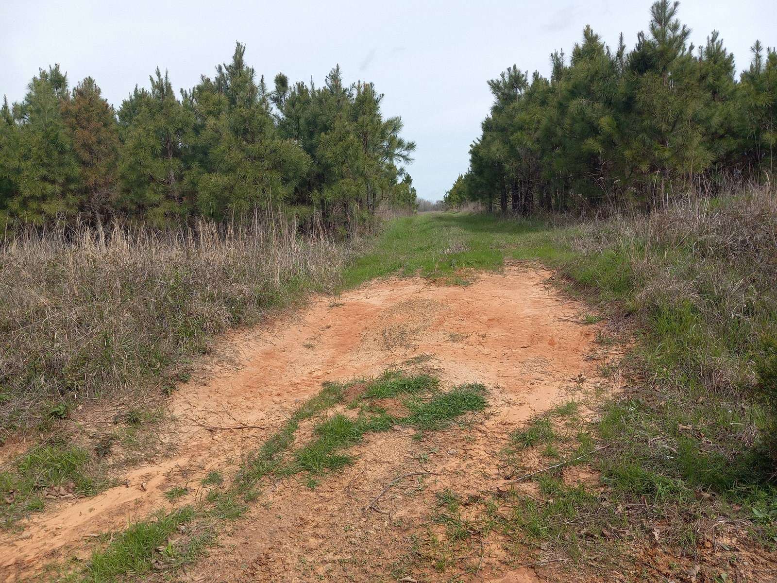 40 Acres of Recreational Land for Sale in Antlers, Oklahoma