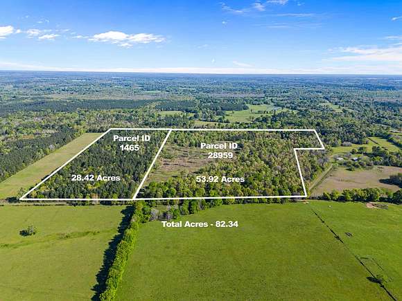 82.3 Acres of Improved Land for Sale in Long Branch, Texas