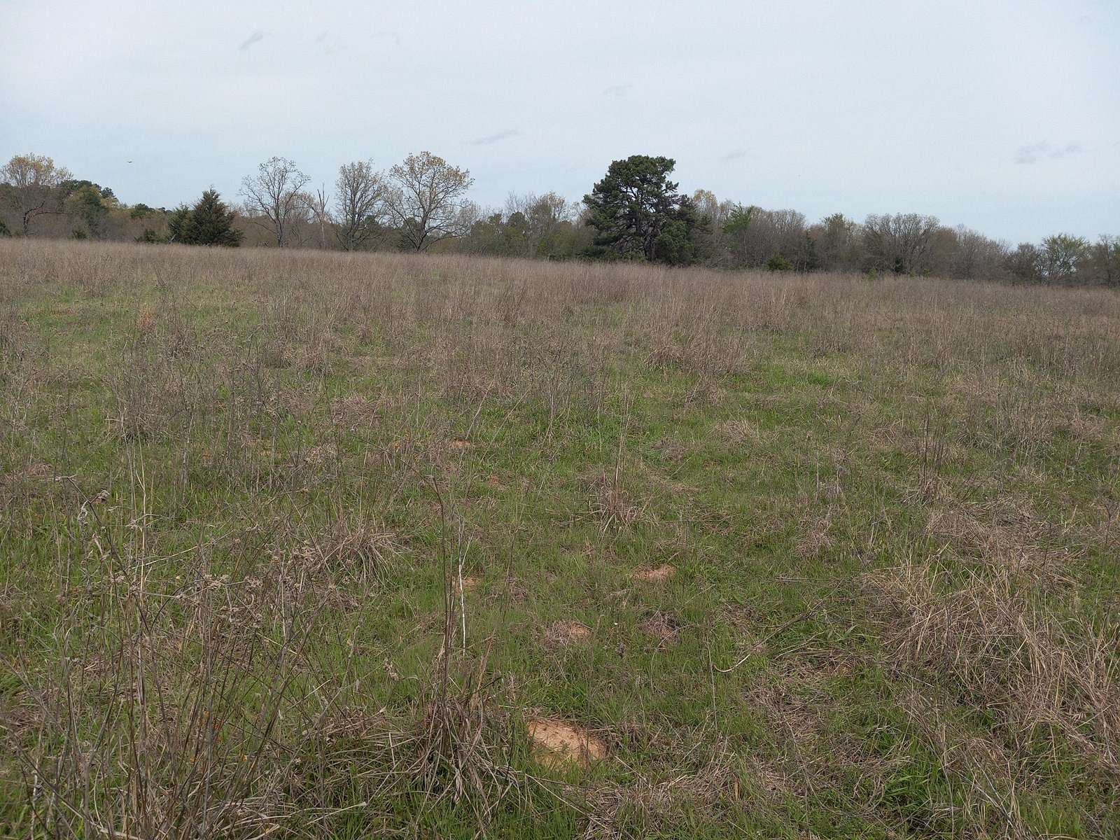 35 Acres of Recreational Land for Sale in Antlers, Oklahoma