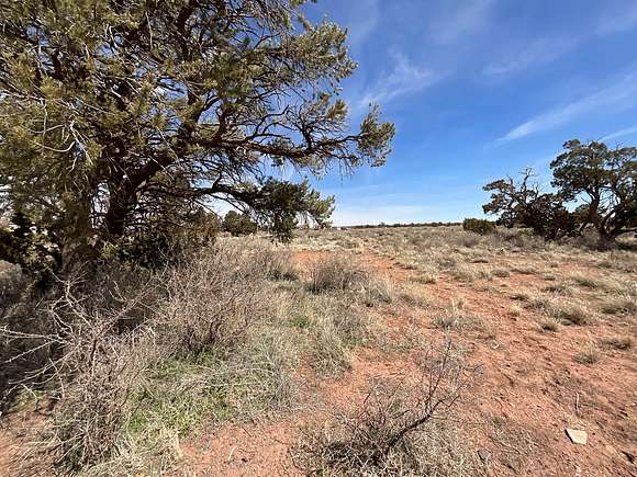 1 Acre of Residential Land for Sale in Williams, Arizona