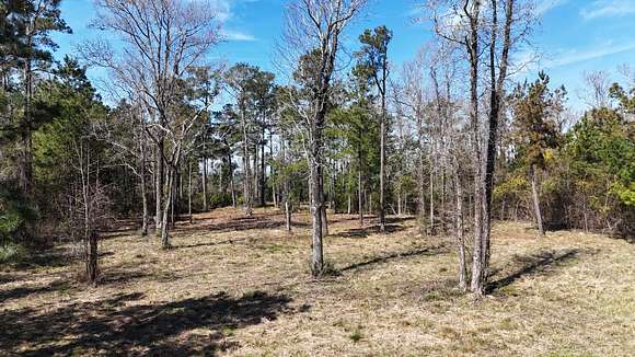 3.2 Acres of Land for Sale in Beaufort, North Carolina
